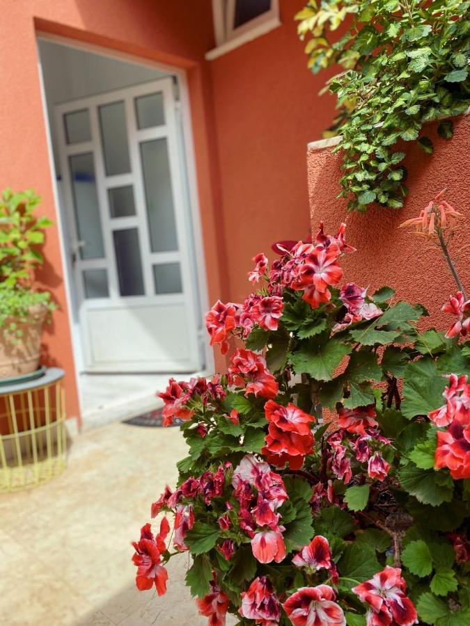 Apartments Zala Matusan Супетарска-Драга Экстерьер фото