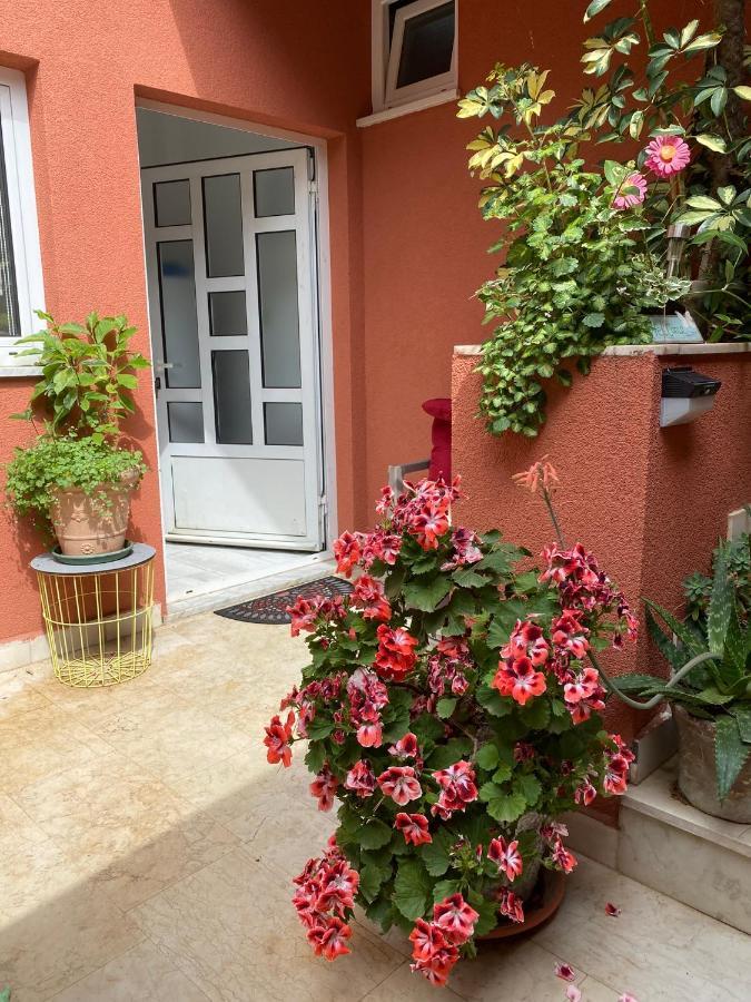 Apartments Zala Matusan Супетарска-Драга Экстерьер фото